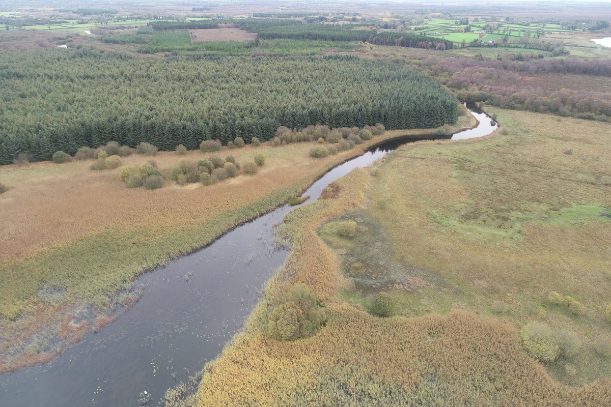DS_tone's tweet photo. During some fieldwork around Lough Kinale, I got to stop off at the Mesolithic site of Derragh, for a quick look of the site 20 years after its excavation.

Photographs by Rob Shaw @DiscProg 

#Archaeology #Heritage  #longford #lake https://t.co/6mm0d1KBr0