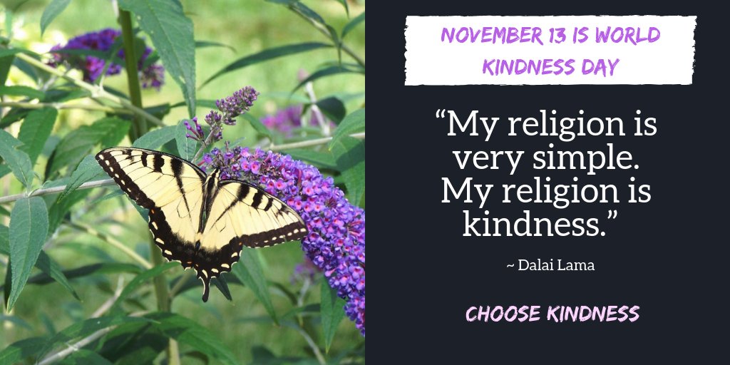Tomorrow is World Kindness Day. Despite everything, or perhaps because of everything, our commitment to kindness must not waver. “My religion is very simple. My religion is kindness.” ~Dalai Lama #WorldKindnessDay #ChooseKinidness #KindnessMatters amzn.to/2STbrcK