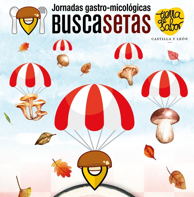🍄Degusta la riqueza micológica de #CastillayLeón en las XXIII Jornadas <a href="/Buscasetas_CyL/">Jornadas Buscasetas</a> de la mano de <a href="/tierradesabor/">Tierra de Sabor</a> y <a href="/eurotoques2018/">EURO-TOQUES 2018</a> 

🍽️165 establecimientos, 9 en Madrid 
➡️7 con ⭐️ de <a href="/GuiaMichelin_ES/">La Guía MICHELIN</a> y 13 con ☀️ de <a href="/GuiaRepsol/">guiarepsol</a> 

 📅1-17 nov
 🌐buscasetas.es