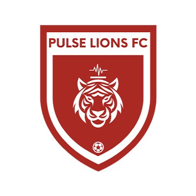 Pulse Lions FC tweet media