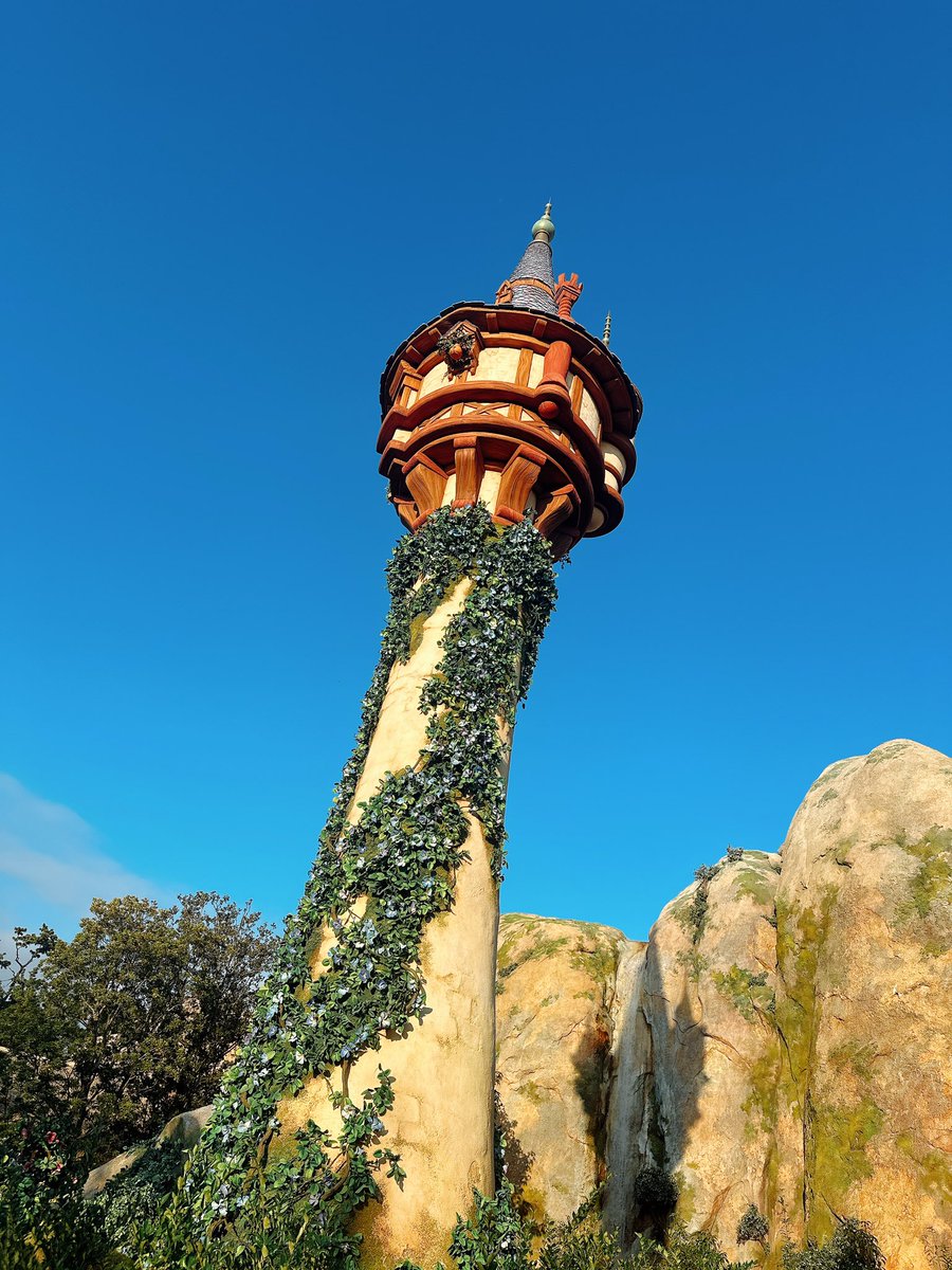 TXVT93's tweet image. #DisneySea
#ドナルド