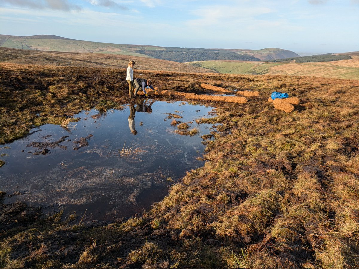 Some before and after shots of a BIG. Peat pipe😃 This eroding area has been reprofiled and the pipe entrance blocked, creating a lovely pool that will slow the flow of water and be a great wildlife habitat 🐦🌿