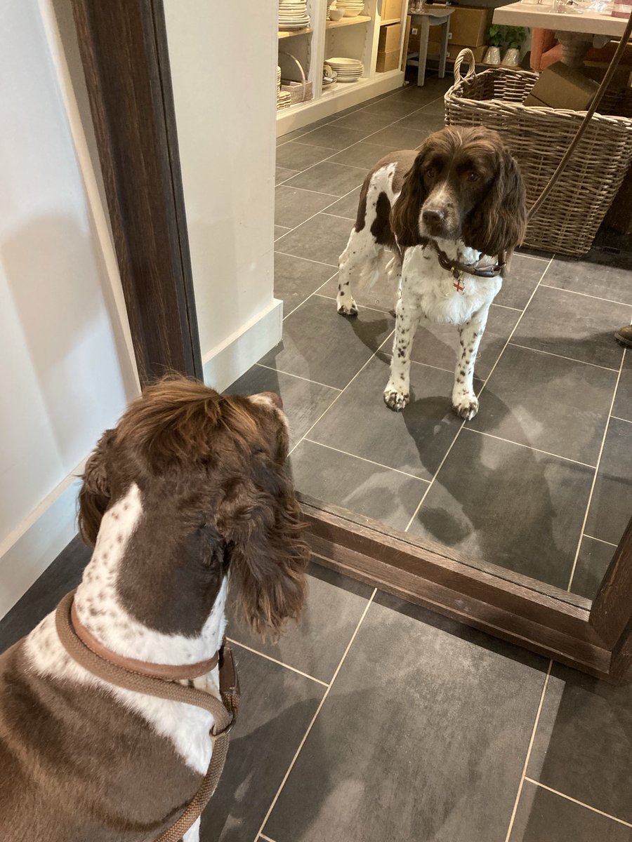 Michelle Greatorex tweet media