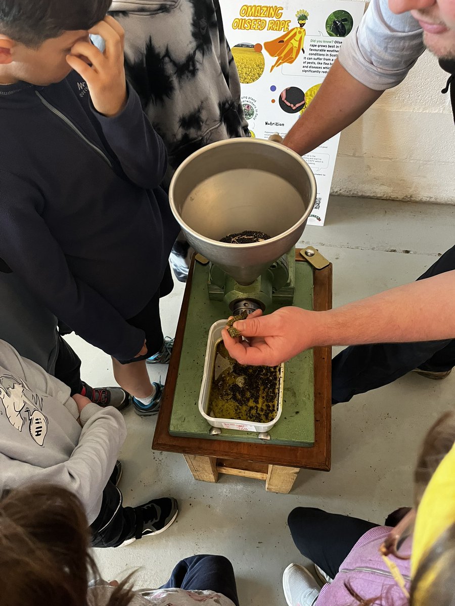 What a day with 180 primary
Pupils from schools in Glenrothes  &amp; Kirkcaldy!  Thanks to all our volunteers and to the team at Pratis for such a fantastic (&amp; warm!) venue. We do it all again on Thursday 😀 #farmtofork 👏👏