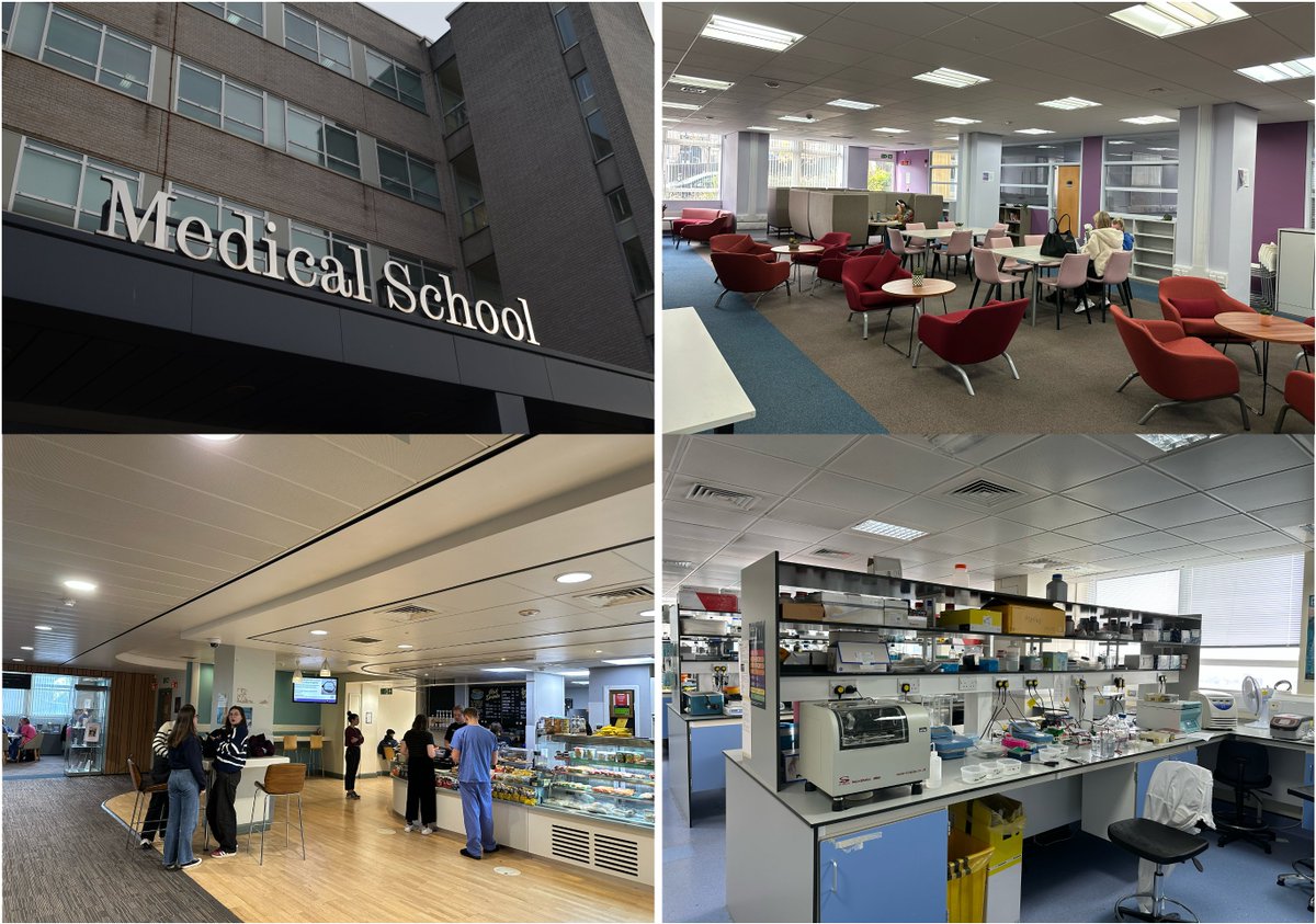 MSc Cancer Biology and Therapeutics - Sheffield (@cancermscshef) on Twitter photo Our Medical School building has its own cafƩ, study space and dedicated research labs.
Join us next year to see it!
sheffield.ac.uk/postgraduate/tā¦
<a href="/TUOS_Cancer/">Sheffield Cancer Research</a> Our Medical School building has its own cafƩ, study space and dedicated research labs.
Join us next year to see it!
sheffield.ac.uk/postgraduate/tā¦
<a href="/TUOS_Cancer/">Sheffield Cancer Research</a>