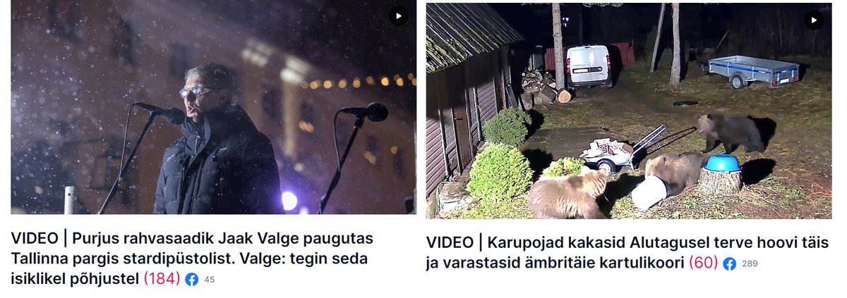 Would you choose the man, or would you choose the bear(s)?