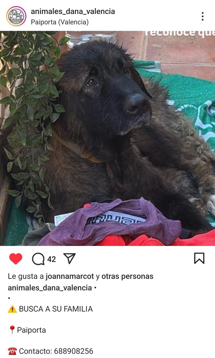 Ayudarme a difundir, gracias