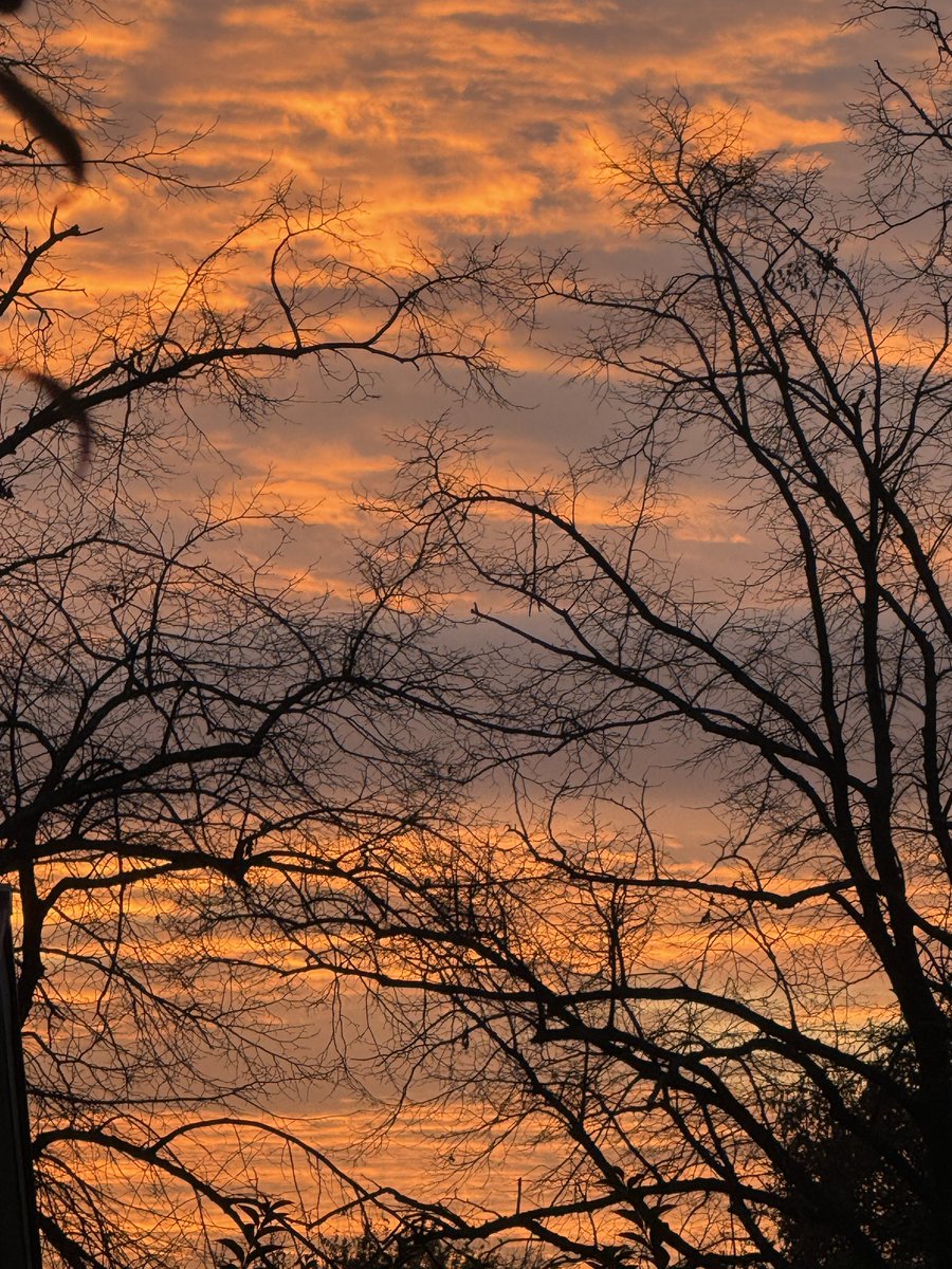 wfm972's tweet photo. Beautiful skies looking West from Wythenshawe at sunset this evening. #OurEarthWeek #Wythenshawe #LoveNature #Sunset https://t.co/QnGJ9jzaFd