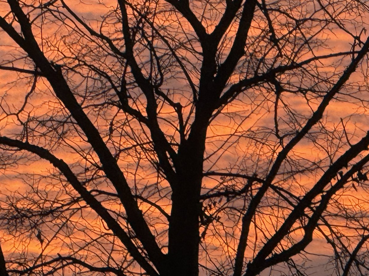 wfm972's tweet photo. Beautiful skies looking West from Wythenshawe at sunset this evening. #OurEarthWeek #Wythenshawe #LoveNature #Sunset https://t.co/QnGJ9jzaFd