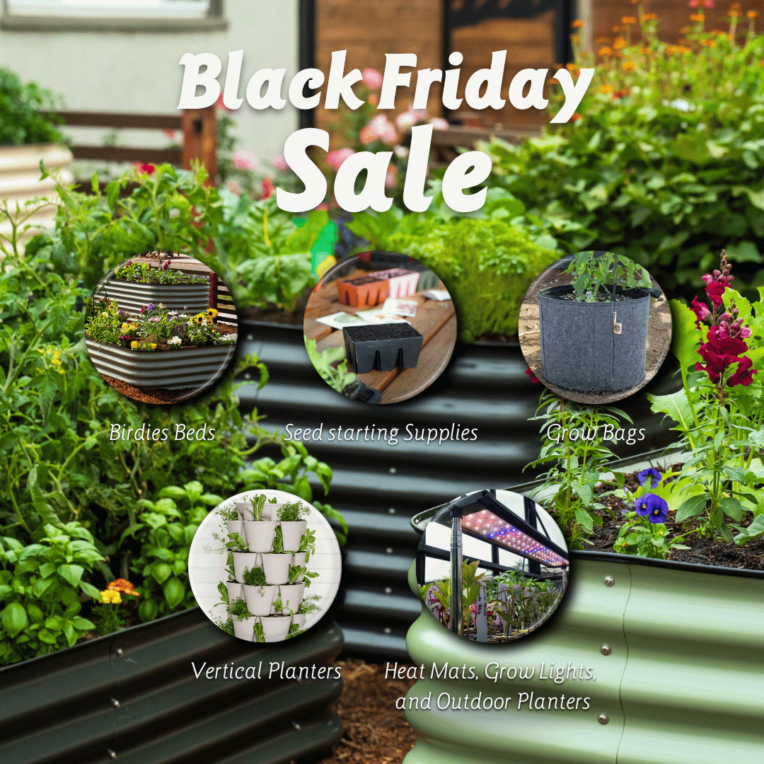 Botanical Interests 🌻 tweet media