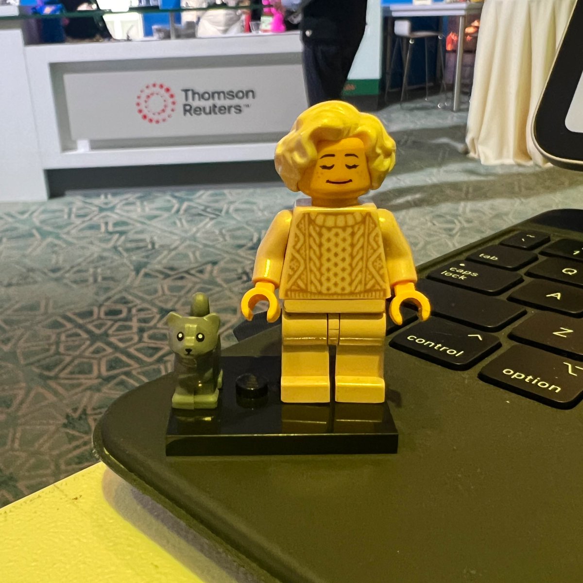 Me right now - tired, content, and missing my cats. #WorthIt #Synergy2024