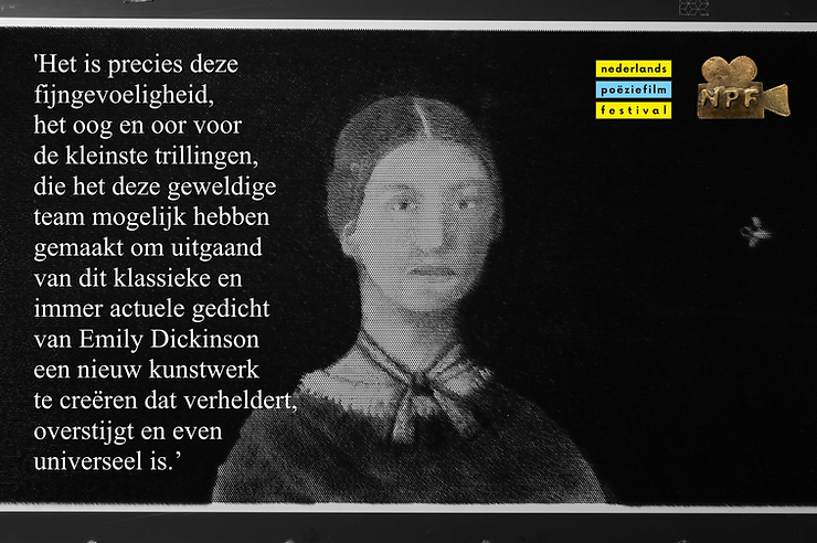 Anne Vanschothorst tweet media