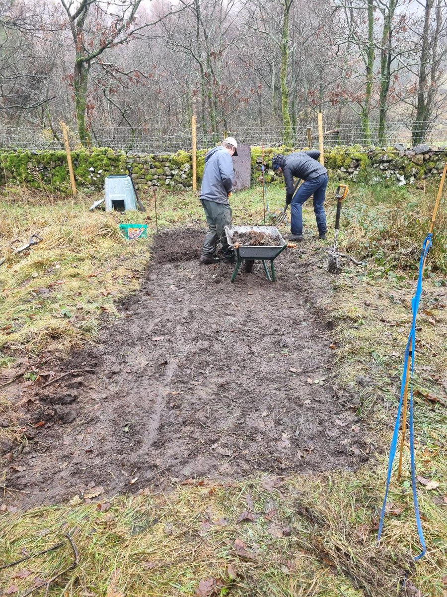 Restoring Hardknott Forest tweet media