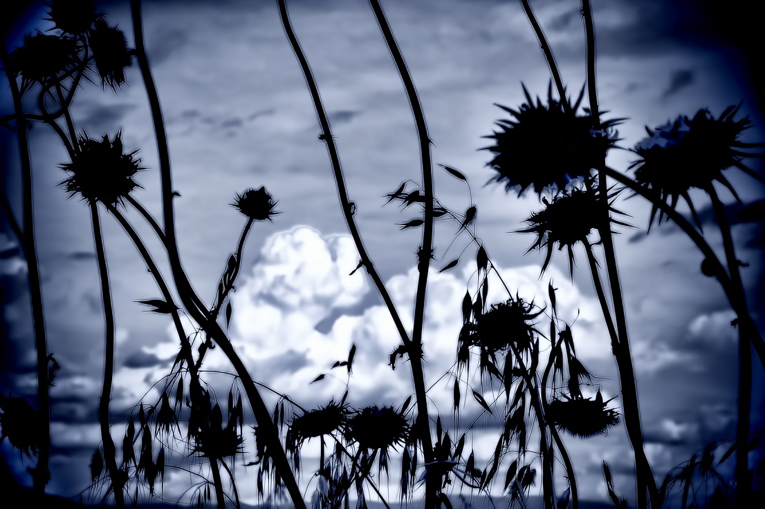 Thoughts fade away
Massimo Di Stefano
linktr.ee/radmax 
#contemporary #artsy #artwork #paintings #drawing #illustration #modernart #artoftheday #painting #creative #abstract #art #contemporaryart #instaartist #photography