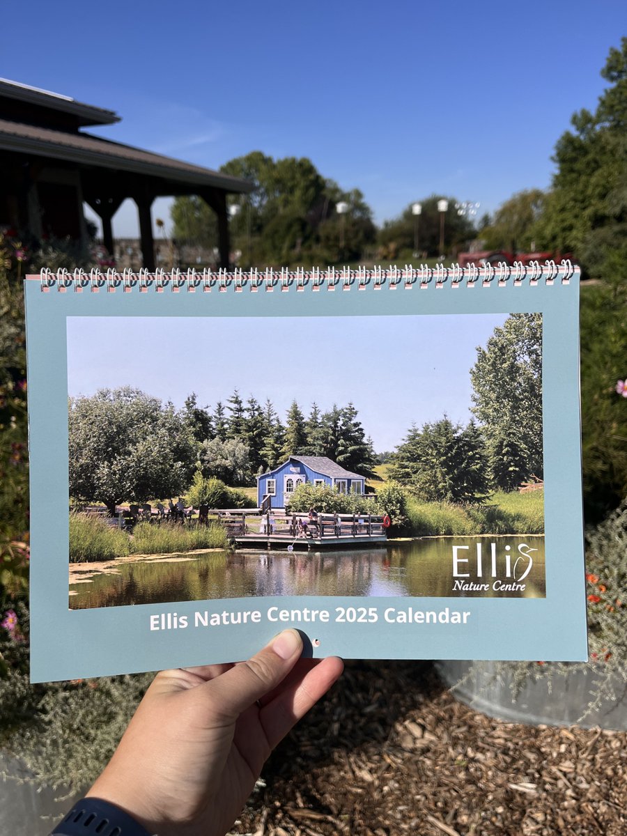 EllisNatCentre's tweet photo. We need your help to sell the final 14 copies of our 2025 calendar! They feature 13 stunning photos of our site, birds, farm animals, &amp; more. Only $35 &amp; all money supports our ongoing efforts. Please share this post or consider purchasing as a gift! Order: https://t.co/MxebXl3shG https://t.co/4rrdpl8ViP