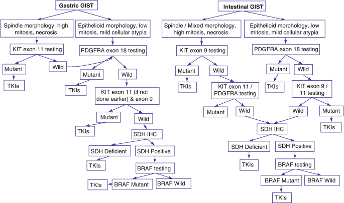 Pathology of the Mesenchymal Tumors of the GI Tract 🔬
link.springer.com/chapter/10.100…