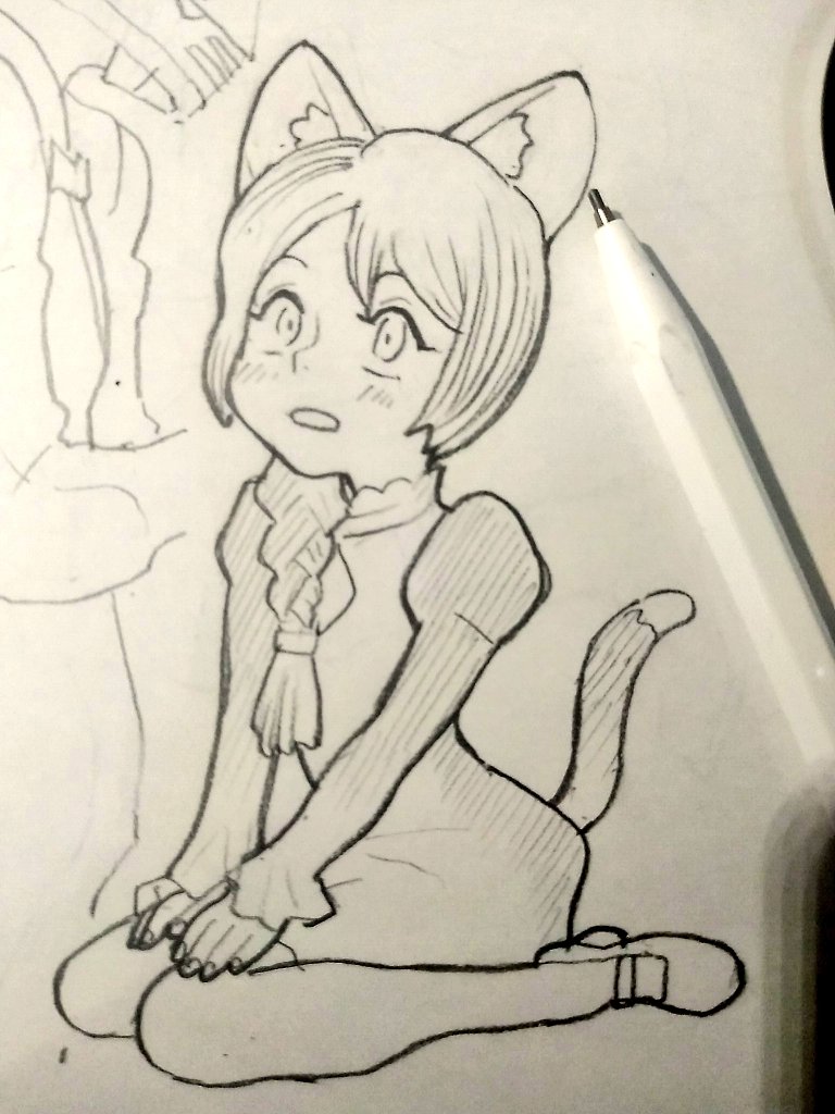 ネコ 
