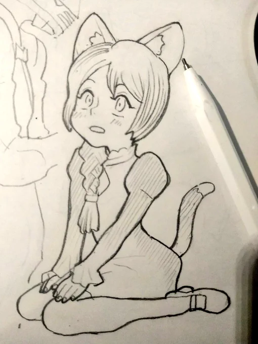 ネコ 