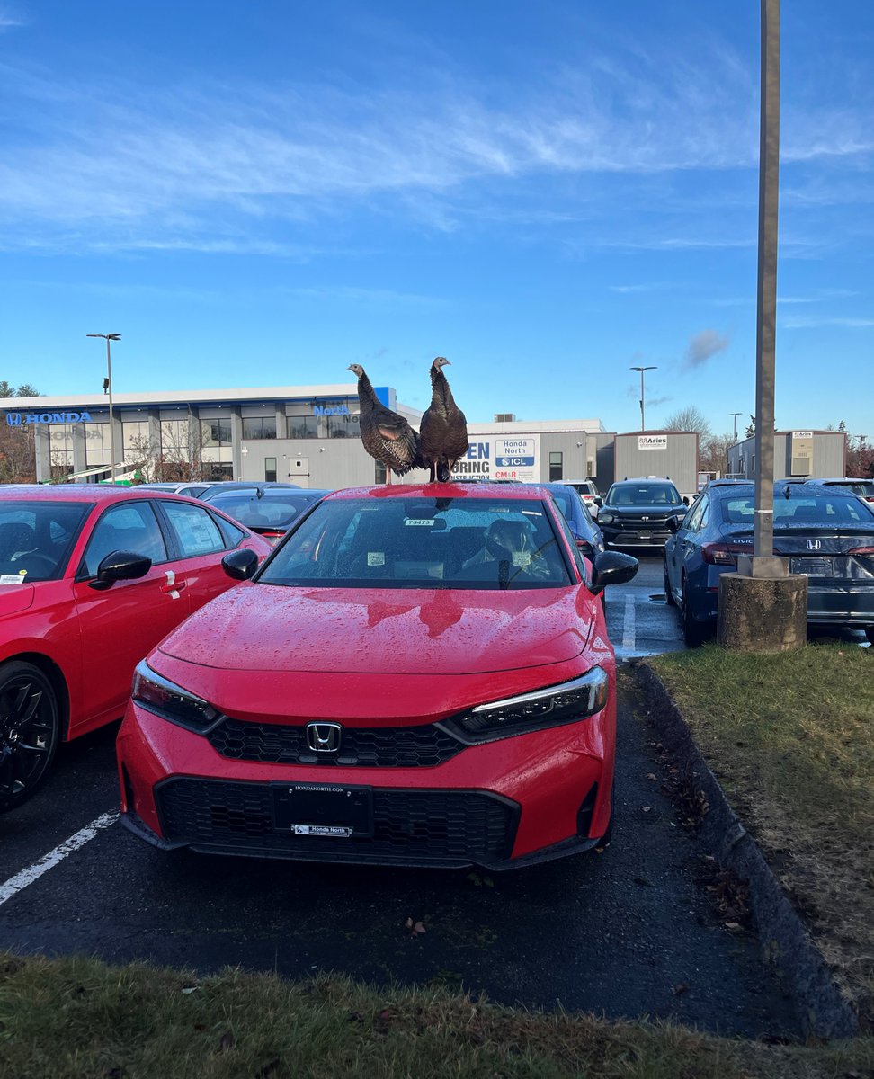 As part of our major renovation, we have decided to hire two new security guards who will oversee the lot day and night. Cluck Norris and Gobbletron are trainer professionals so please, do not test them.