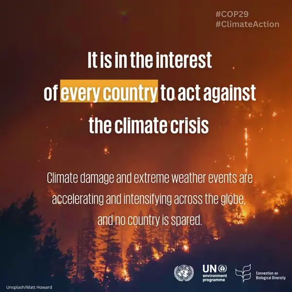 UNBiodiversity's tweet photo. 🌏 Every nation has a stake in fighting the climate crisis. As climate damage and extreme weather intensify globally, no country is immune. 

Together, we must take urgent #ClimateAction to protect our shared future. #PeaceWithNature #COP29 https://t.co/QFyVAb4vBw