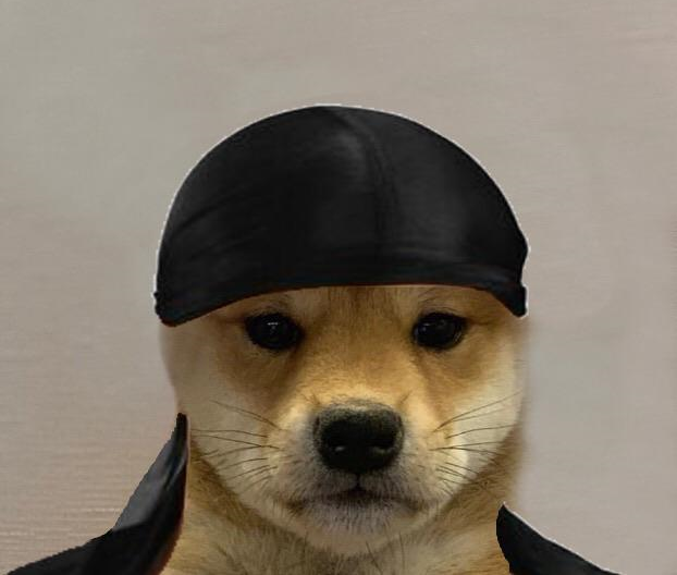 121 in Dawg Years twitch.tv/googlemysmoove