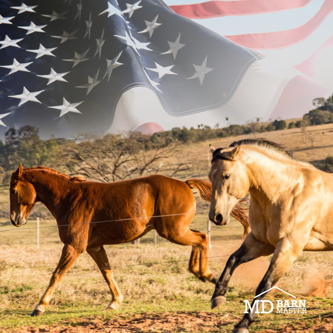 MDBarnmaster's tweet photo. Designed with you and your American Quarter Horses in mind, our barns prioritize safety and comfort. ❤️ #BuildABetterBarn #MDBarnmaster #AmericanQuarterHorse #HorseBarns

Learn more at https://t.co/2ixVv6pwVS {LINK IN BIO} https://t.co/MsJ5eRdmbt