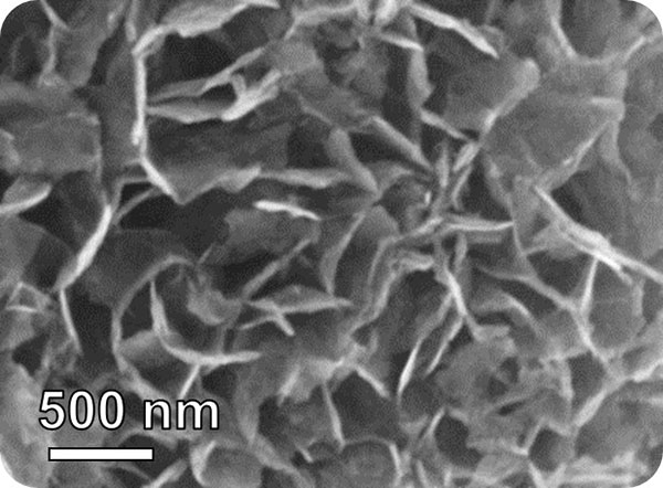 ACS Pressroom (@acspressroom) on Twitter photo November is Lung Cancer Awareness Month, and exhaled breath could contain clues that may provide diagnoses. These nanoflakes show promise for detecting lung cancer by sensing a difference in breath chemistry in people with lung cancer. <a href="/ACS_Sensors/">ACS Sensors</a>: acs.org/pressroom/pres… November is Lung Cancer Awareness Month, and exhaled breath could contain clues that may provide diagnoses. These nanoflakes show promise for detecting lung cancer by sensing a difference in breath chemistry in people with lung cancer. <a href="/ACS_Sensors/">ACS Sensors</a>: acs.org/pressroom/pres…