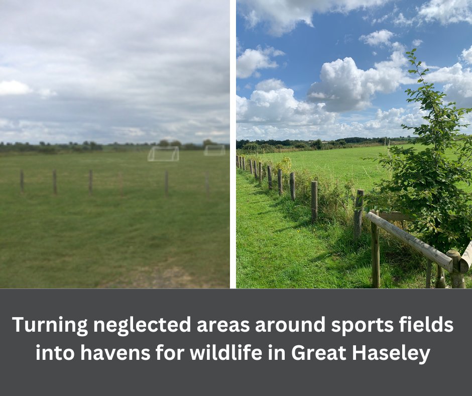 TOE is proud to support the volunteers of Haseley Earthshot Action Group, in partnership with Great Haseley Parish Council, to plant more hedgerow to restore the wildlife habitats around a playing local field.  #hedgerestoration #wildlifehabitats #southoxfordshire <a href="/southOxon/">South Oxfordshire DC</a>