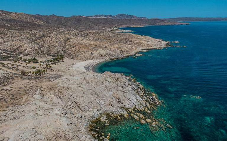 Alguna vez te has preguntado🤔¿Cómo se forman las playas?🌊

🧵Geólogo de la <a href="/UABCSoficial/">UABCS</a> lo explica: 👇buff.ly/3CgqMjy