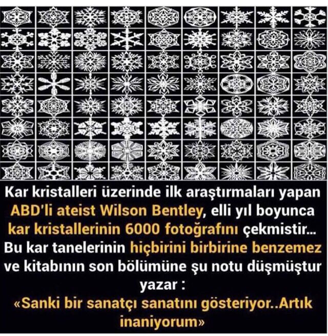 Kul Mehmet Kır (@mahmutkul777) on Twitter photo 