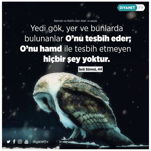 Kul Mehmet Kır (@mahmutkul777) on Twitter photo 