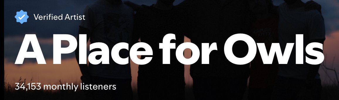 A Place For Owls tweet media