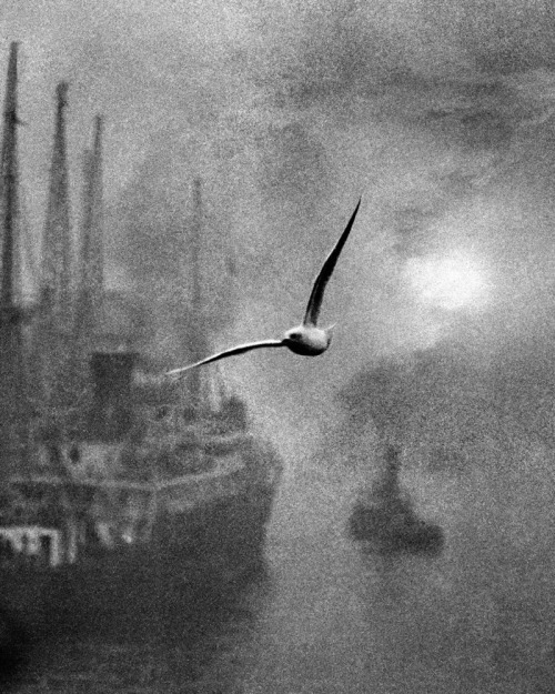 Bill Brandt, Early Morning on the River, London Bridge, 1936

“Photography is not a sport. It has no rules.”