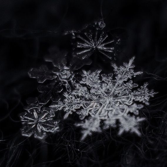 ᅠᅠ ᅠ ᅠ ᅠ ᅠ ᅠ ᅠᅠ 𝙣𝙚𝙫𝓮͟ .ᐟ (@icynicles) on Twitter photo 