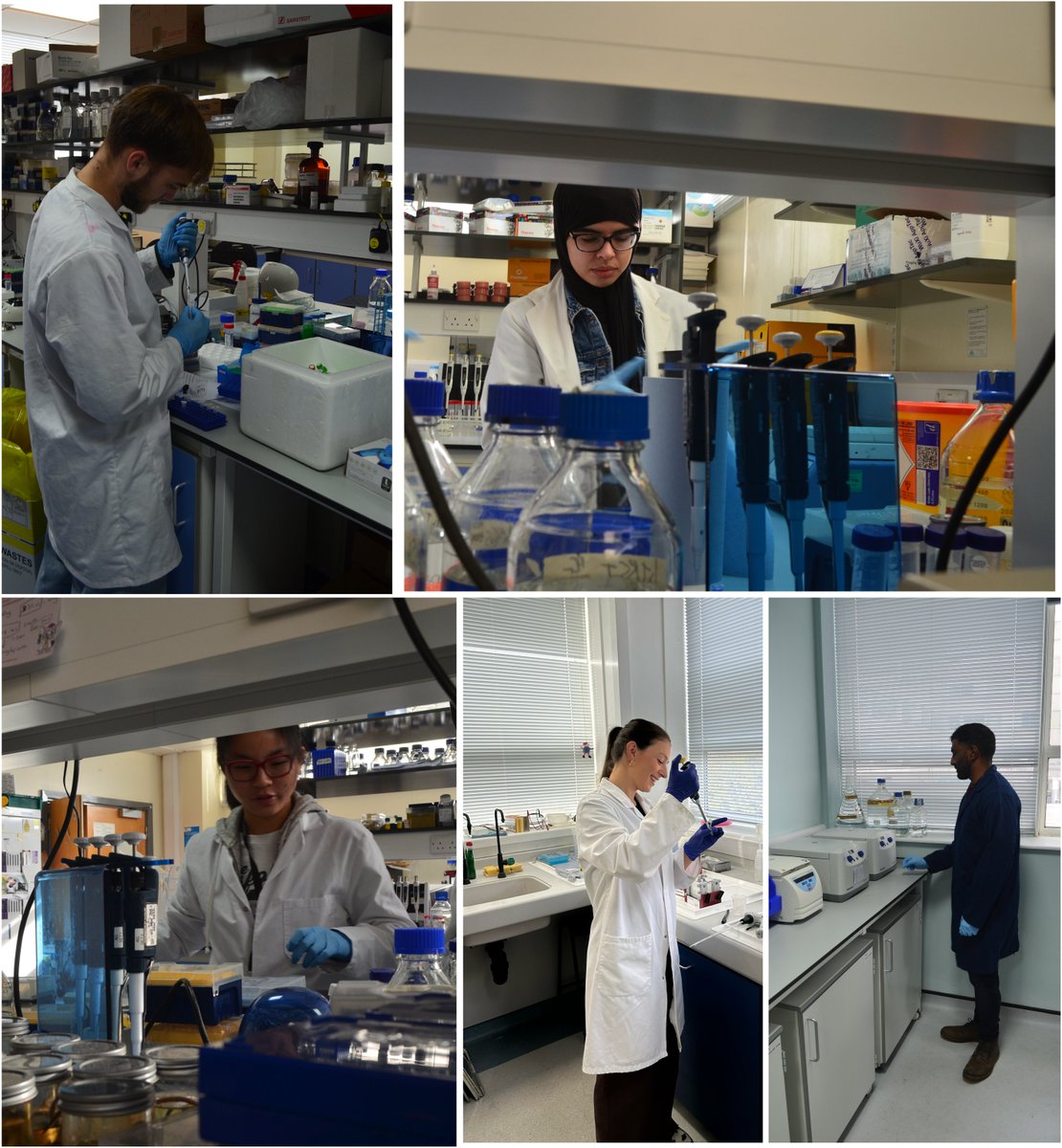 MSc Cancer Biology and Therapeutics - Sheffield (@cancermscshef) on Twitter photo All of our students have a 6-month full time research project.
Excellent preparation for a PhD and a career in healthcare or the pharmaceutical industry.
Join us next year to see it!
sheffield.ac.uk/postgraduate/tā¦
<a href="/TUOS_Cancer/">Sheffield Cancer Research</a> <a href="/ShefUni_ClinMed/">Sheffield Uni - Clinical Medicine š¦ š š«šš¬š©ŗ</a> All of our students have a 6-month full time research project.
Excellent preparation for a PhD and a career in healthcare or the pharmaceutical industry.
Join us next year to see it!
sheffield.ac.uk/postgraduate/tā¦
<a href="/TUOS_Cancer/">Sheffield Cancer Research</a> <a href="/ShefUni_ClinMed/">Sheffield Uni - Clinical Medicine š¦ š š«šš¬š©ŗ</a>