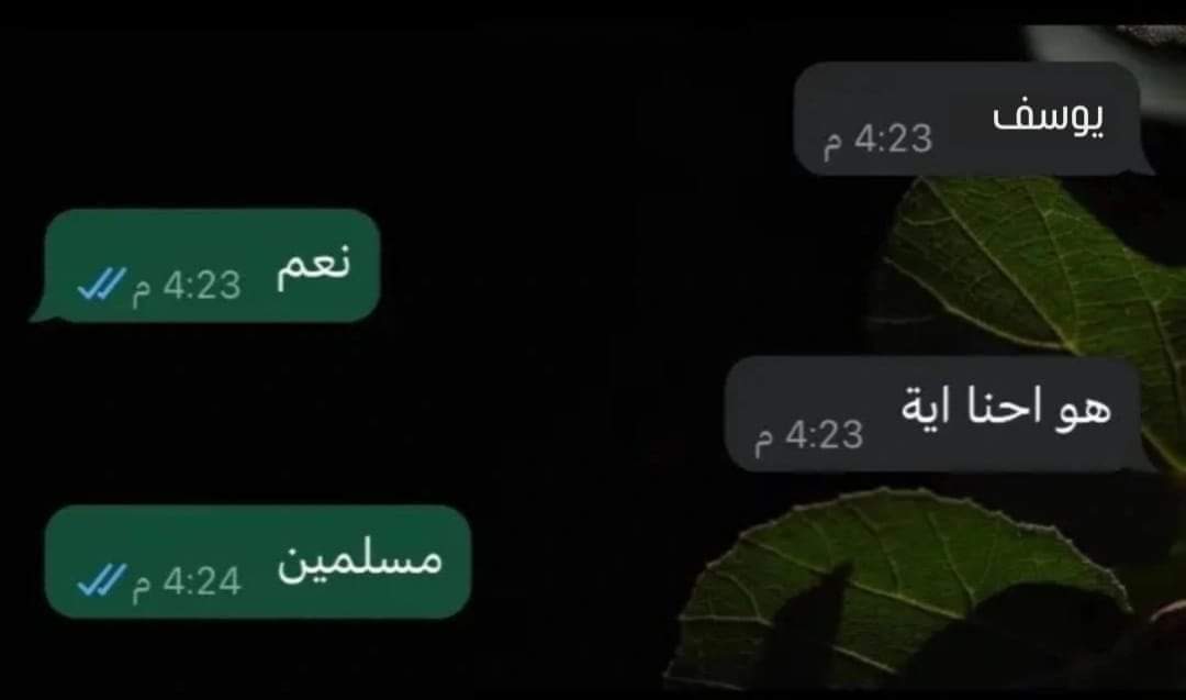 المتنبي. tweet media