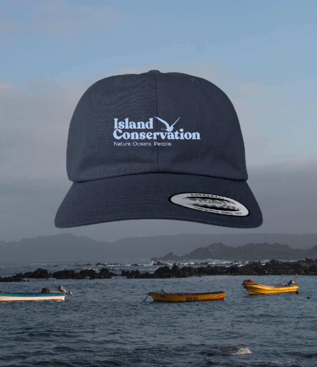 Island Conservation tweet media