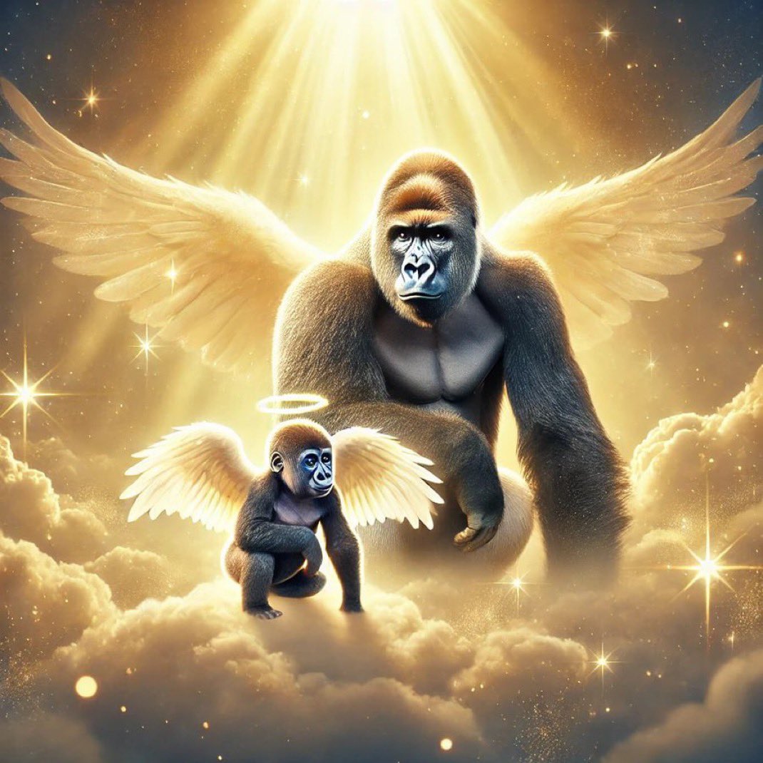 sharpinvestr's tweet photo. $EYARE &amp; $HARAMBE 🦍 

You will be missed dearly ❤️ https://t.co/3f3GQgi5MR