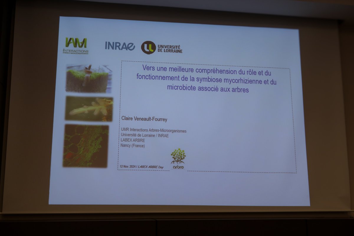 INRAE Grand Est - Nancy tweet media