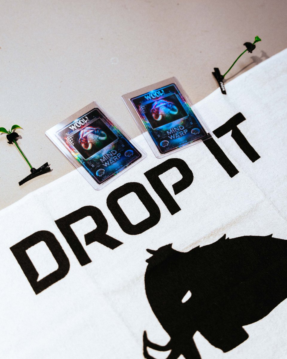 🦣 WOOLI 🦣 tweet media