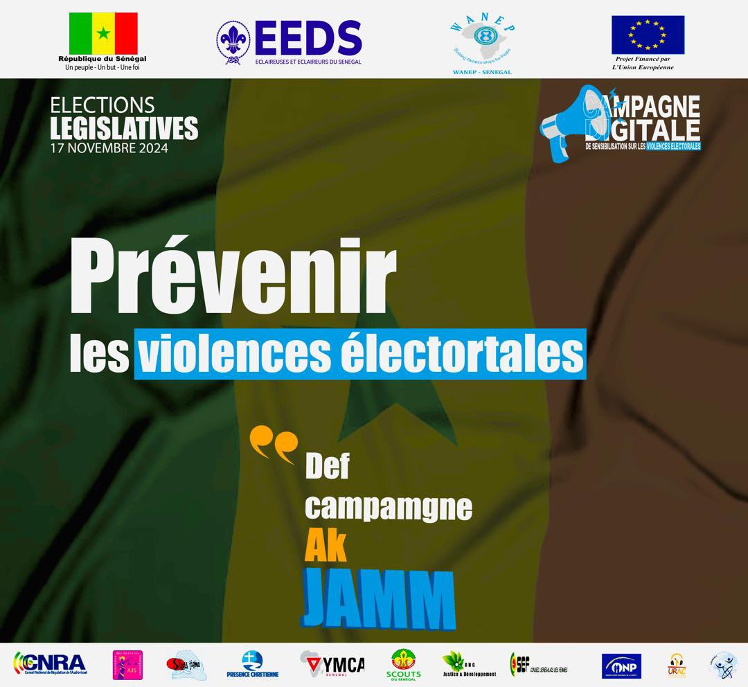 Éclaireuses et Éclaireurs du Sénégal tweet media