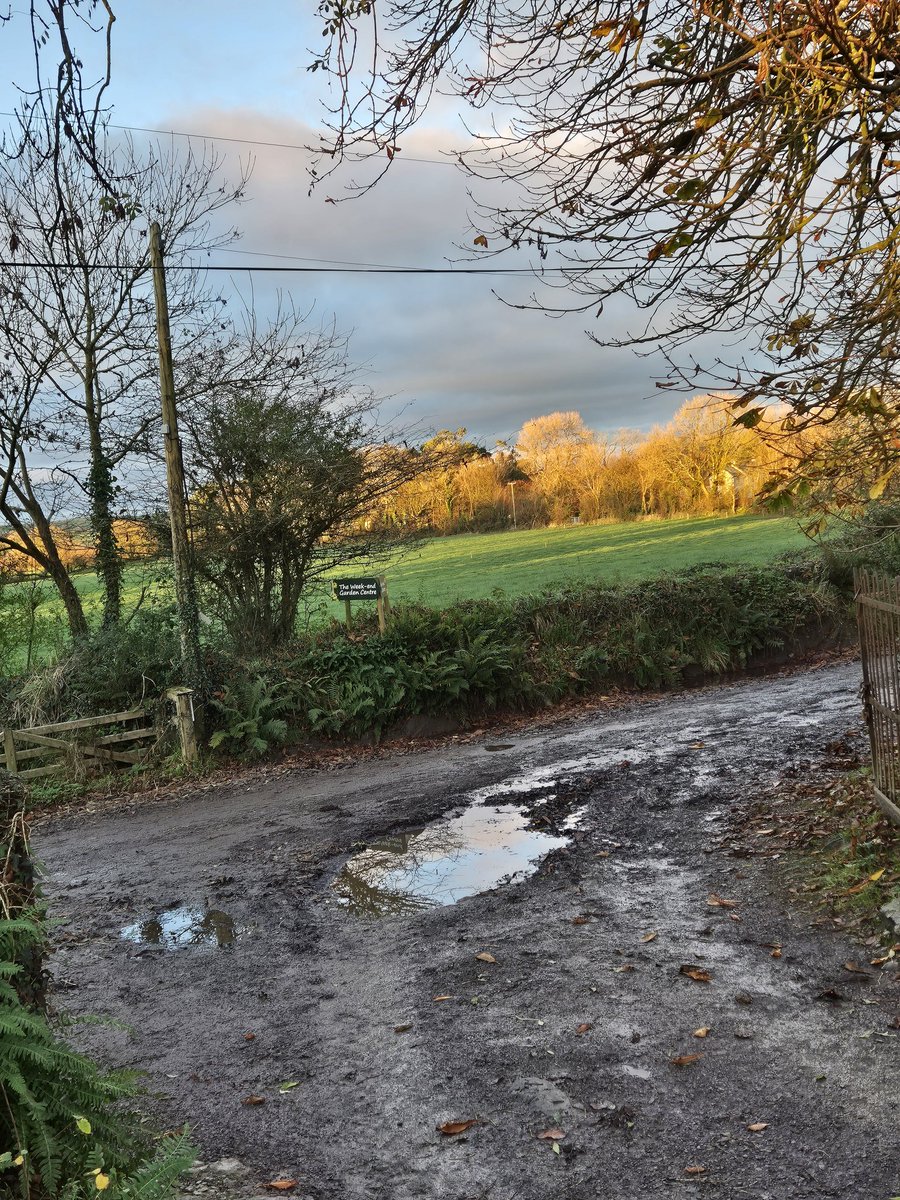 John Hosford (@weekendgardence) on Twitter photo 