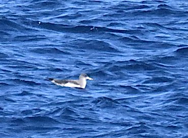 Roger Hackney tweet media