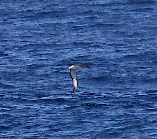 Roger Hackney tweet media