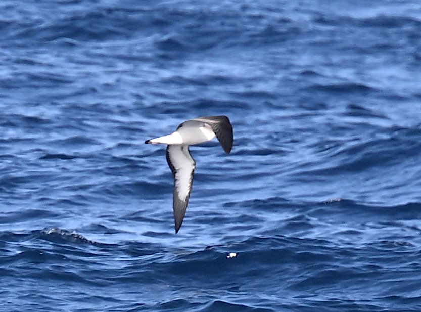 Roger Hackney tweet media