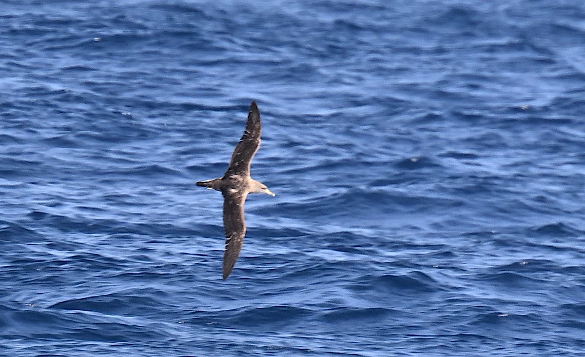 Roger Hackney tweet media