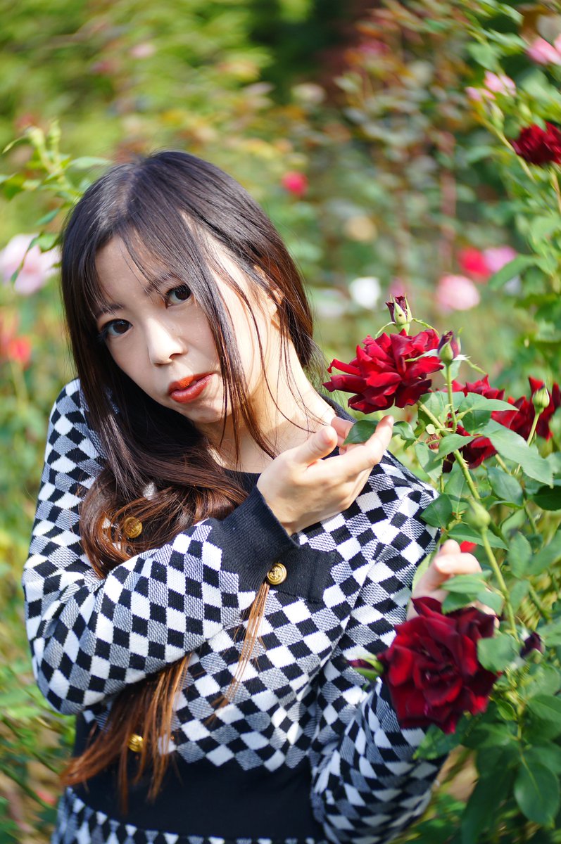 satoru9n8s2's tweet photo. おはつーん🎶
今日はお仕事おやすみ✨
のんびり過ごします☺️
#あんず さん @anzuame1008
#つんつん花ポートレート
#ポートレート好きな人と繋がりたい
#オールドレンズ
#オールドレンズで花ポトレ
#twist60 #ぐるぐるボケ🌀
#バラ #バラ園
いよいよ今週末、つん写歩に参加いただきます❣️ https://t.co/MWja0FJxss