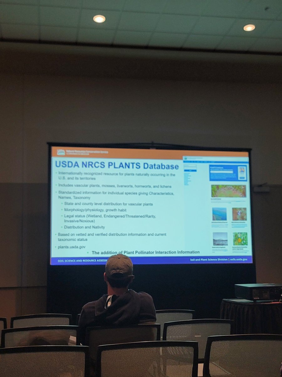 tranosaurusrex1's tweet image. Found a plant talk 🥳 #entsoc