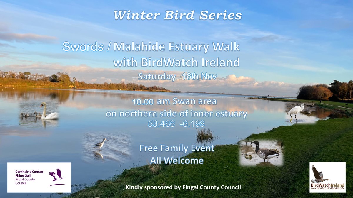 Fingal County Council tweet media