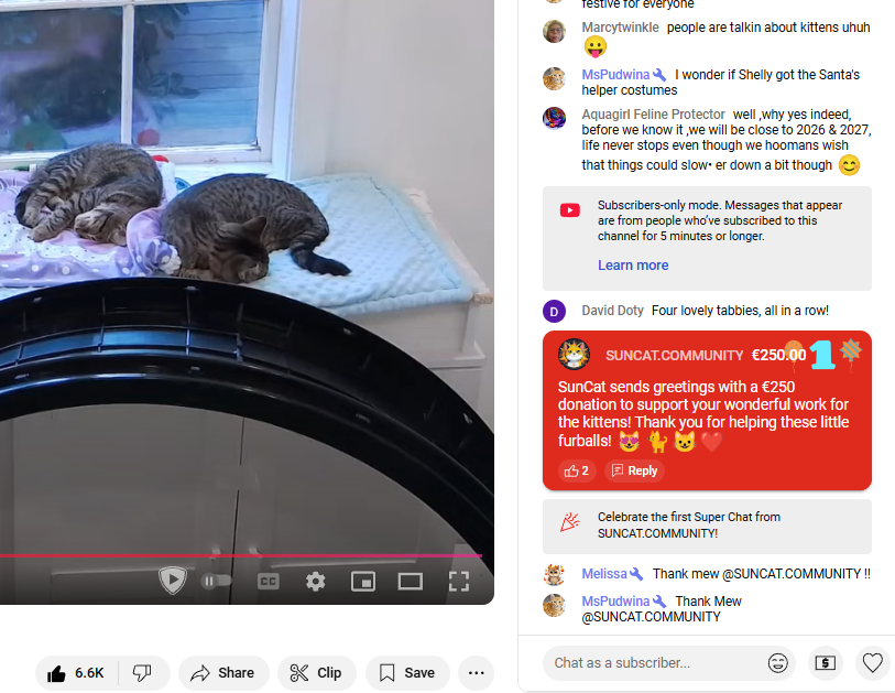 suncatrx's tweet photo. SUNCAT just donated 250 Euros to support @tinykittensHQ! 🐾💕 Nub, Bumper, Plop, and Slick are still looking for their forever homes. Help make a difference for these tiny paws! Check them out: https://t.co/bUNMYzIgFf
@justinsuntron
#TinyKittens #AdoptDontShop #TRON #Tronmemecoins